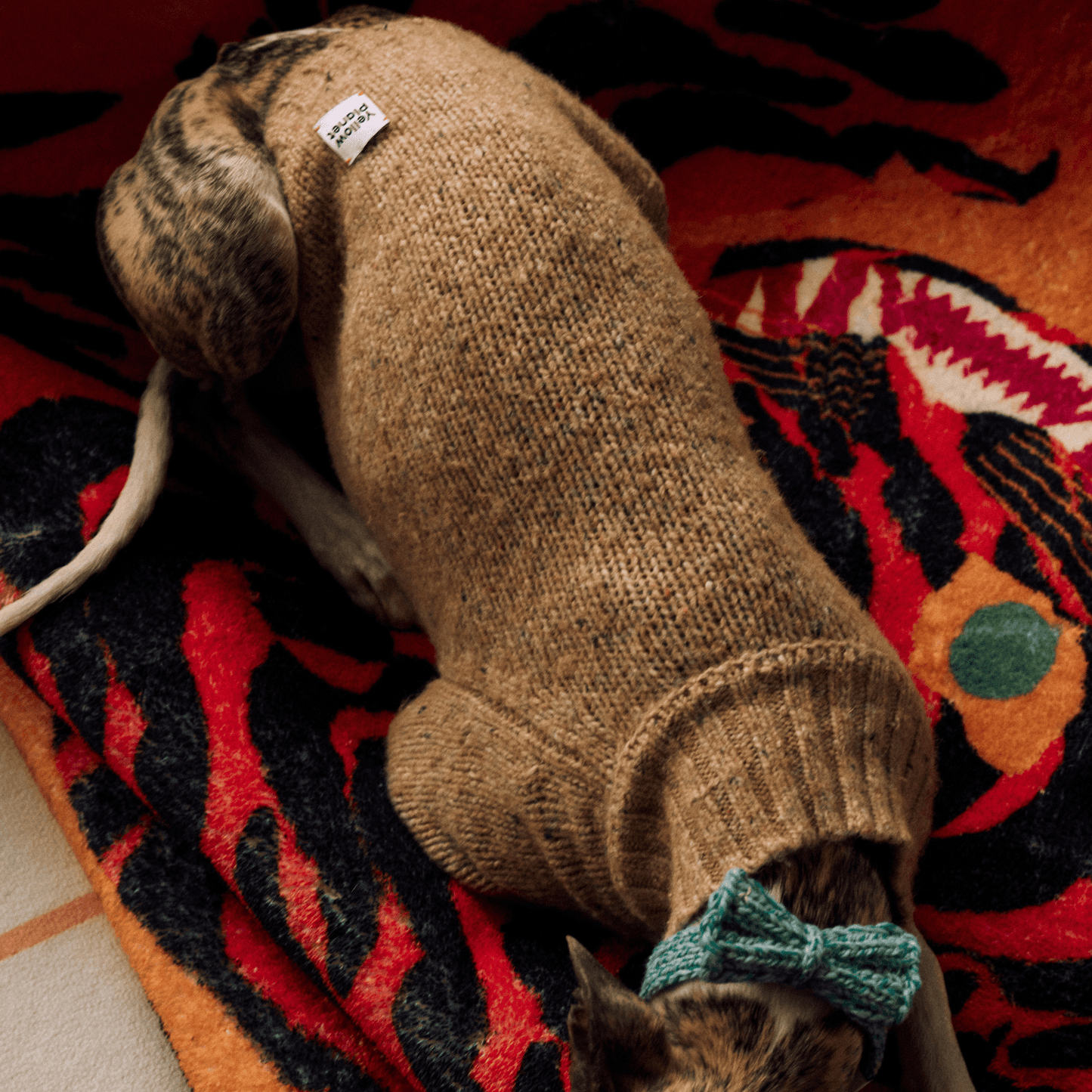 Gentle Dog Series Alpaca-Wool Tweed Pet Sweater