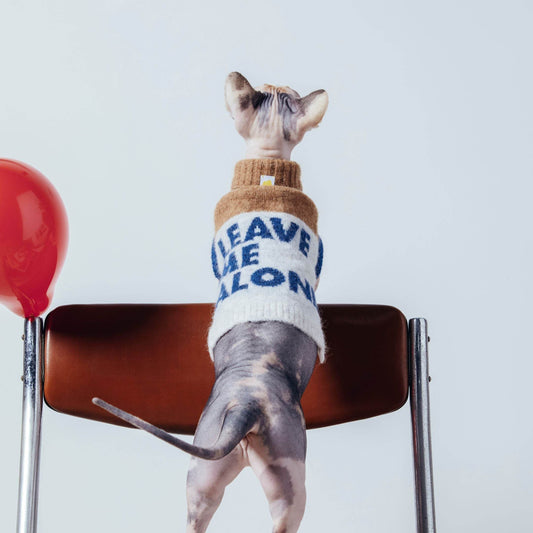 Back view of cat wearing Cat-Sophy alpaca wool pet sweater in light yarn-gray
