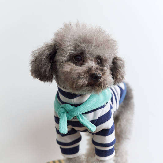 Gray small dog wearing Colorful Daily Series Classic Stripe × Color Yarn-dyed Two-Leg Pet Outfit in navy stripe with green bandana, front view on white background