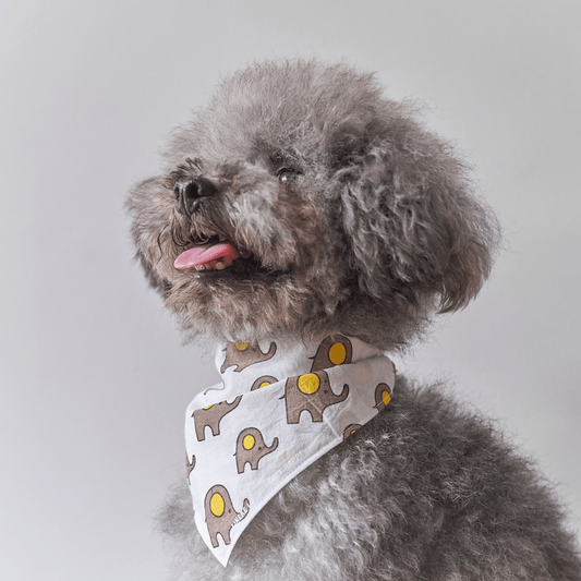 Dog smiling while wearing an elephant-pattern triangle bandana, showcasing a cute and playful half-body shot with a stylish pet accessory.