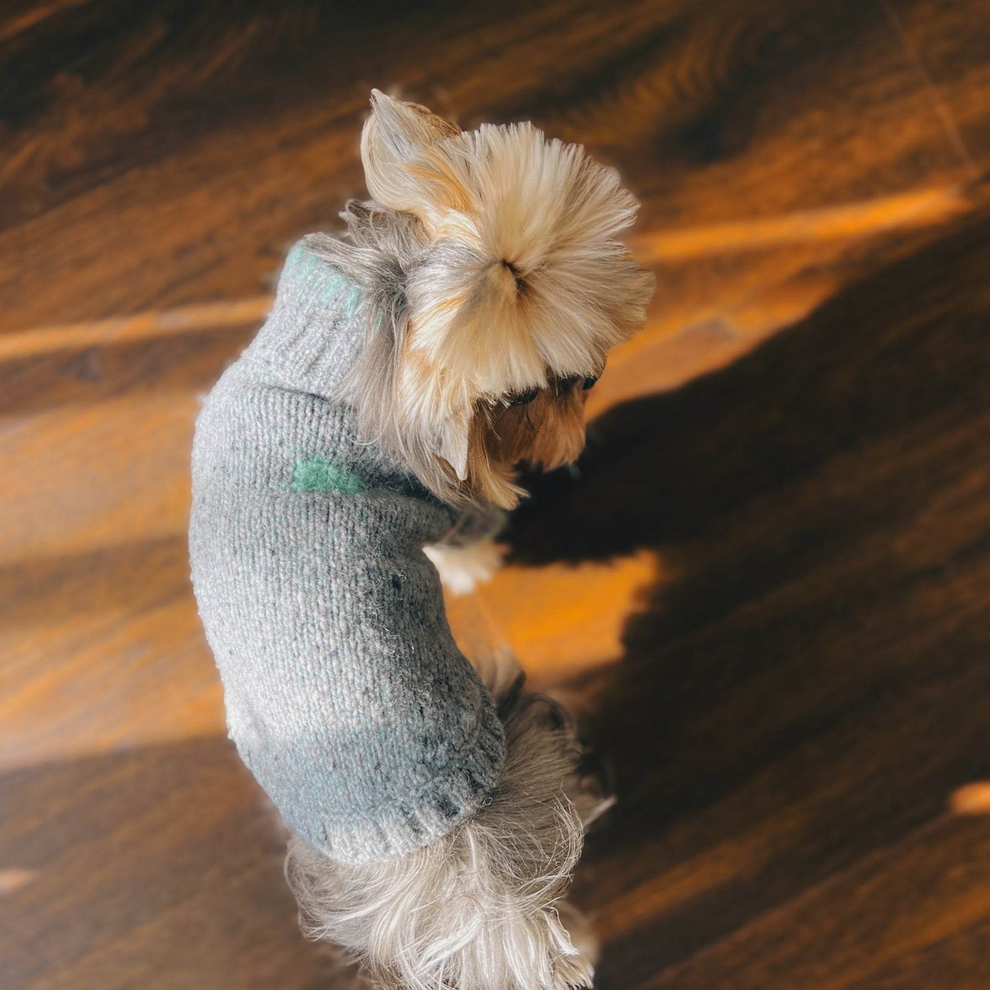 Funky Gentle Dog Series Alpaca-Wool Blend Pet Sweater