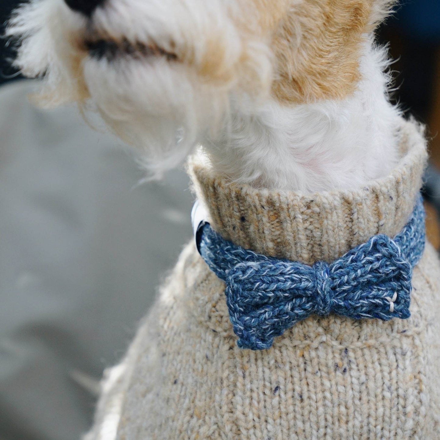 Funky Gentle Dog Series | Hand-Knitted Bow Tie in Alpaca & Wool Blend Denim Tweed