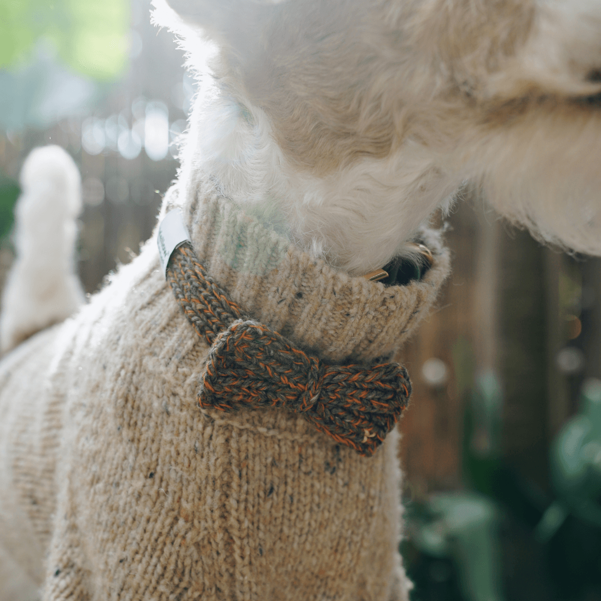 Funky Gentle Dog Series | Hand-Knitted Bow Tie in Alpaca & Wool Blend