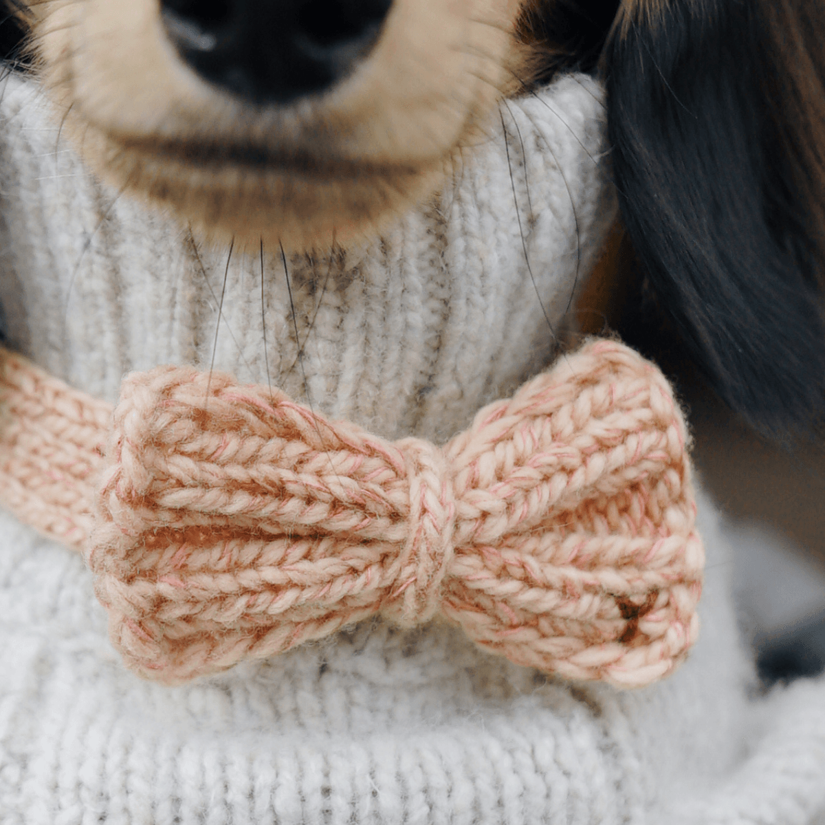Funky Gentle Dog Series | Hand-Knitted Bow Tie in Alpaca & Wool Blend Salmon Tweed