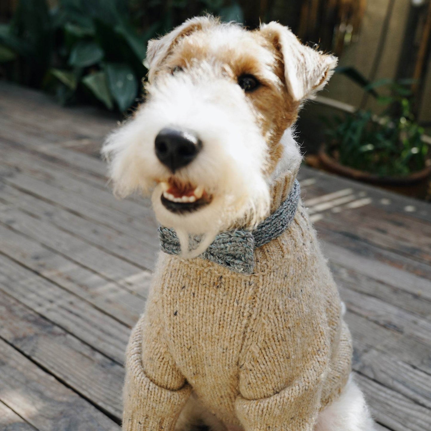 Funky Gentle Dog Series | Hand-Knitted Bow Tie in Alpaca & Wool Blend