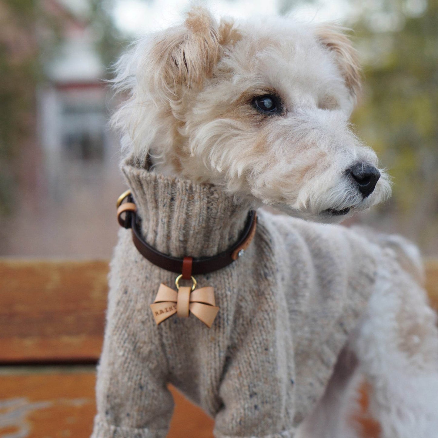 Gentle Dog Series Alpaca-Wool Tweed Pet Sweater