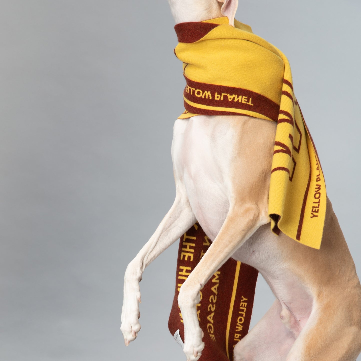 DOG-Sophy Series "WOOF" Theme Cashmere & Wool Reversible Two-Tone Scarf for Human
