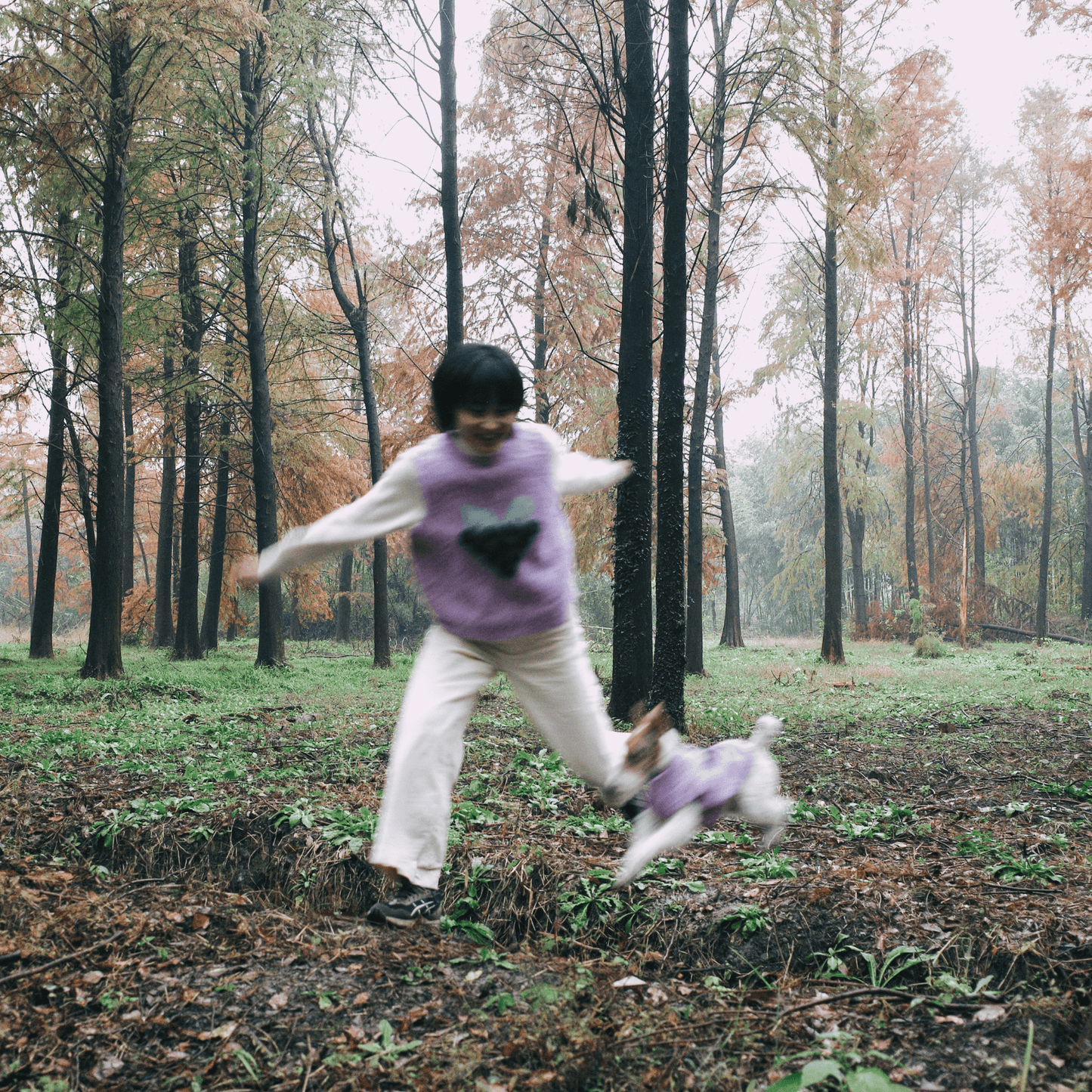 Human and dog wearing matching Yellow Market knit vests-purple grape,playing happy