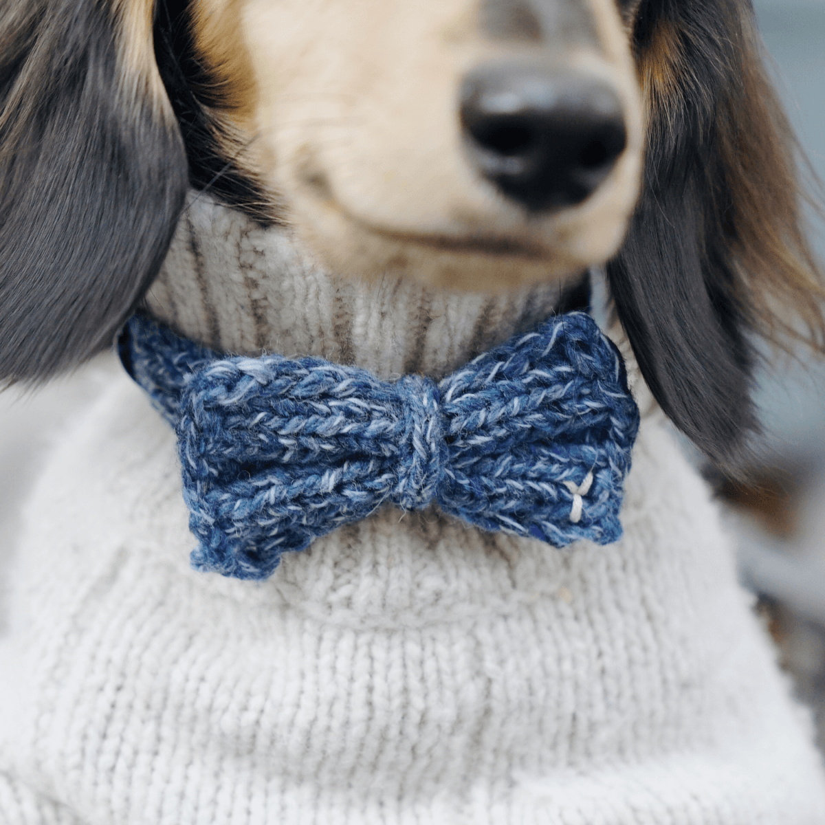 Funky Gentle Dog Series | Hand-Knitted Bow Tie in Alpaca & Wool Blend