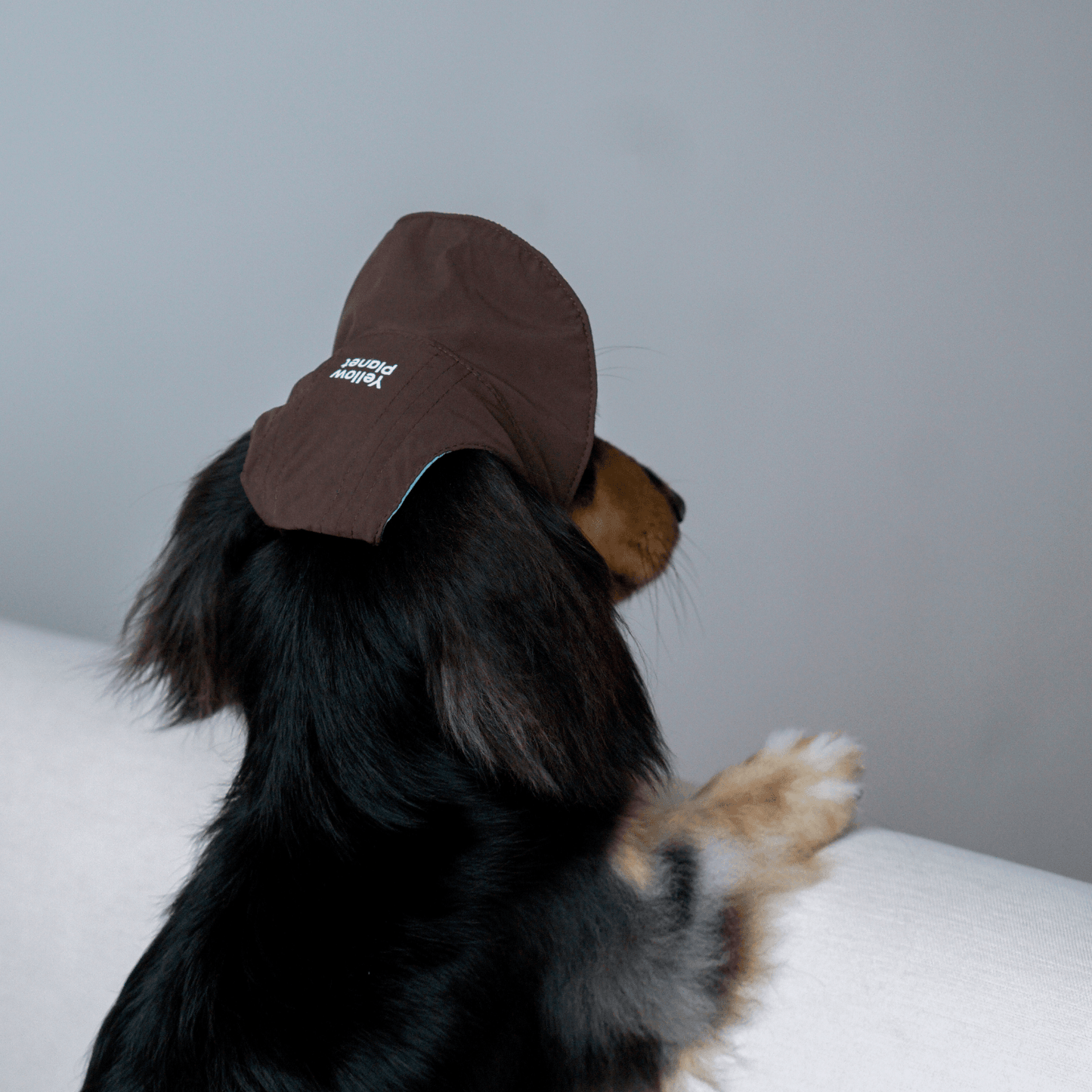 Oasis Series3-in-1 Cooling & UV-Blocking Pet Cap – Reversible Lightweight Dog Hat