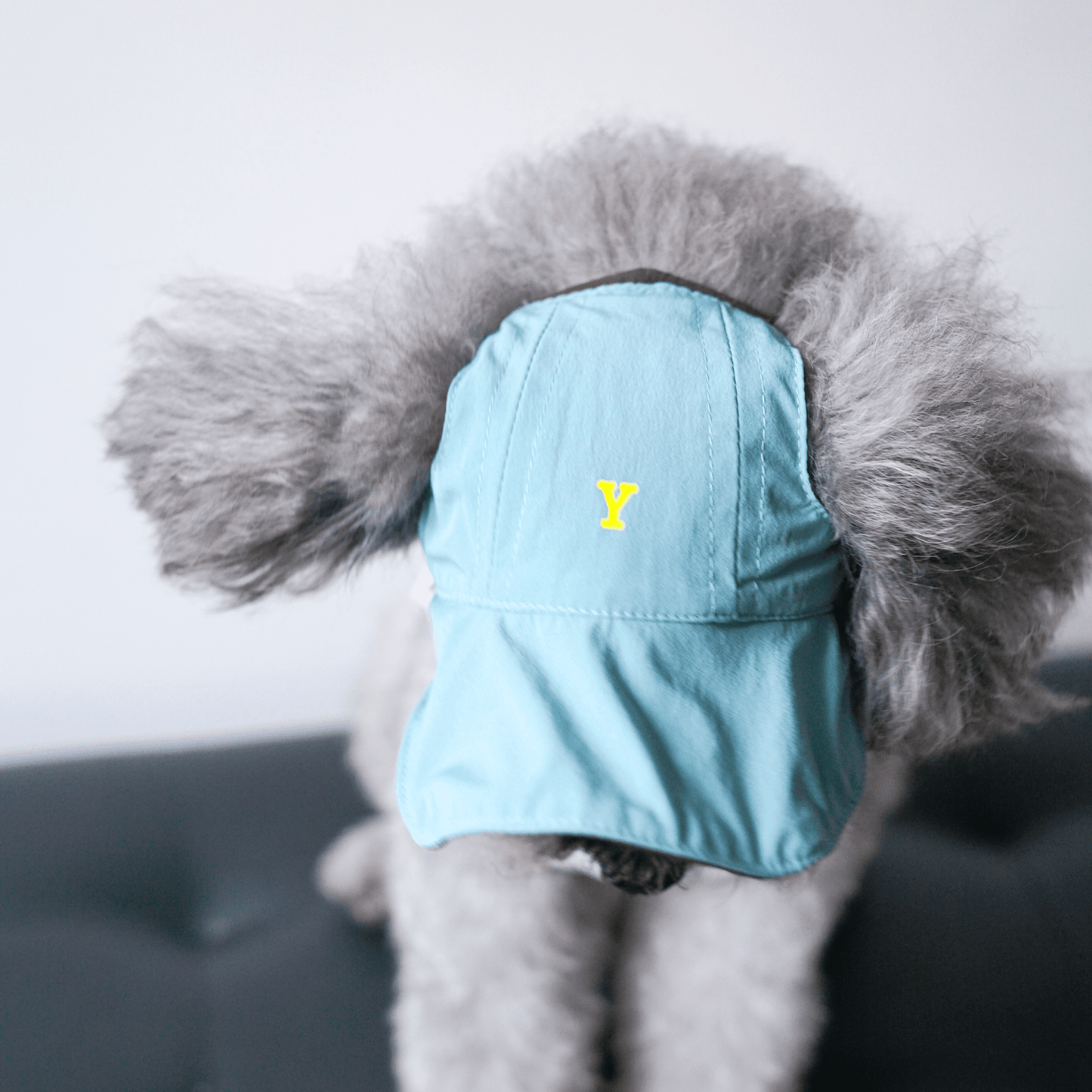 Oasis Series3-in-1 Cooling & UV-Blocking Pet Cap – Reversible Lightweight Dog Hat