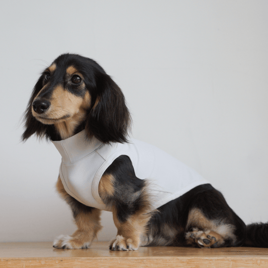 Oasis Series 5-in-1 Cooling Pet Vest – Lightweight & Stretchy Dog Shirt