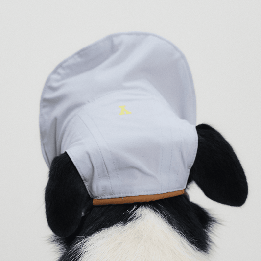 Back view close-up of dog wearing light blue Oasis Series 3-in-1 Reversible Lightweight Pet Cap (Adjustable) on white background