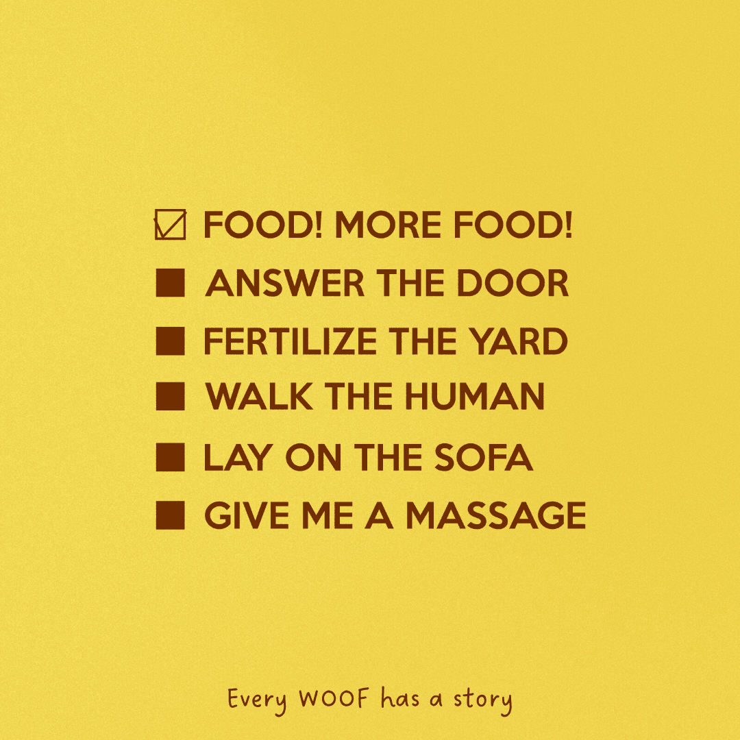 DOG-Sophy Series "WOOF" Theme Cashmere & Wool Reversible Two-Tone Scarf for Human