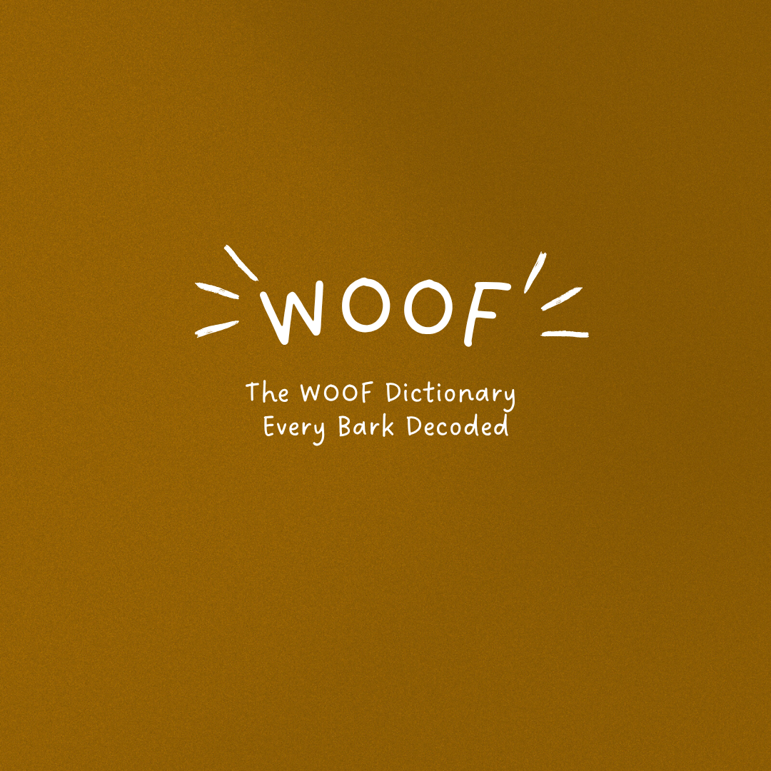 DOG-Sophy Series "WOOF" Theme Cashmere & Wool Reversible Two-Tone Scarf for Human
