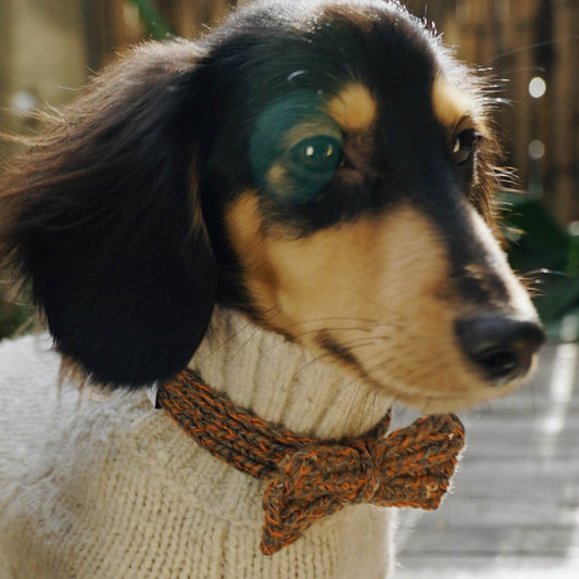Funky Gentle Dog Series | Hand-Knitted Bow Tie in Alpaca & Wool Blend Rustic Amber Tweed