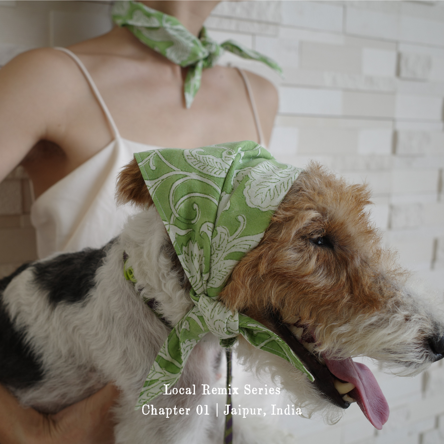 Side view of human and dog wearing Yellow Planet® Local Remix Triangle Bandana Vol. 2; the dog styles it as a headscarf while the human wears it around the neck