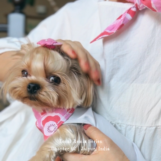 Close-up of human and dog wearing matching Yellow Planet® Local Remix Triangle Bandana Vol. 2 in pink, hand block printed cotton from Jaipur.