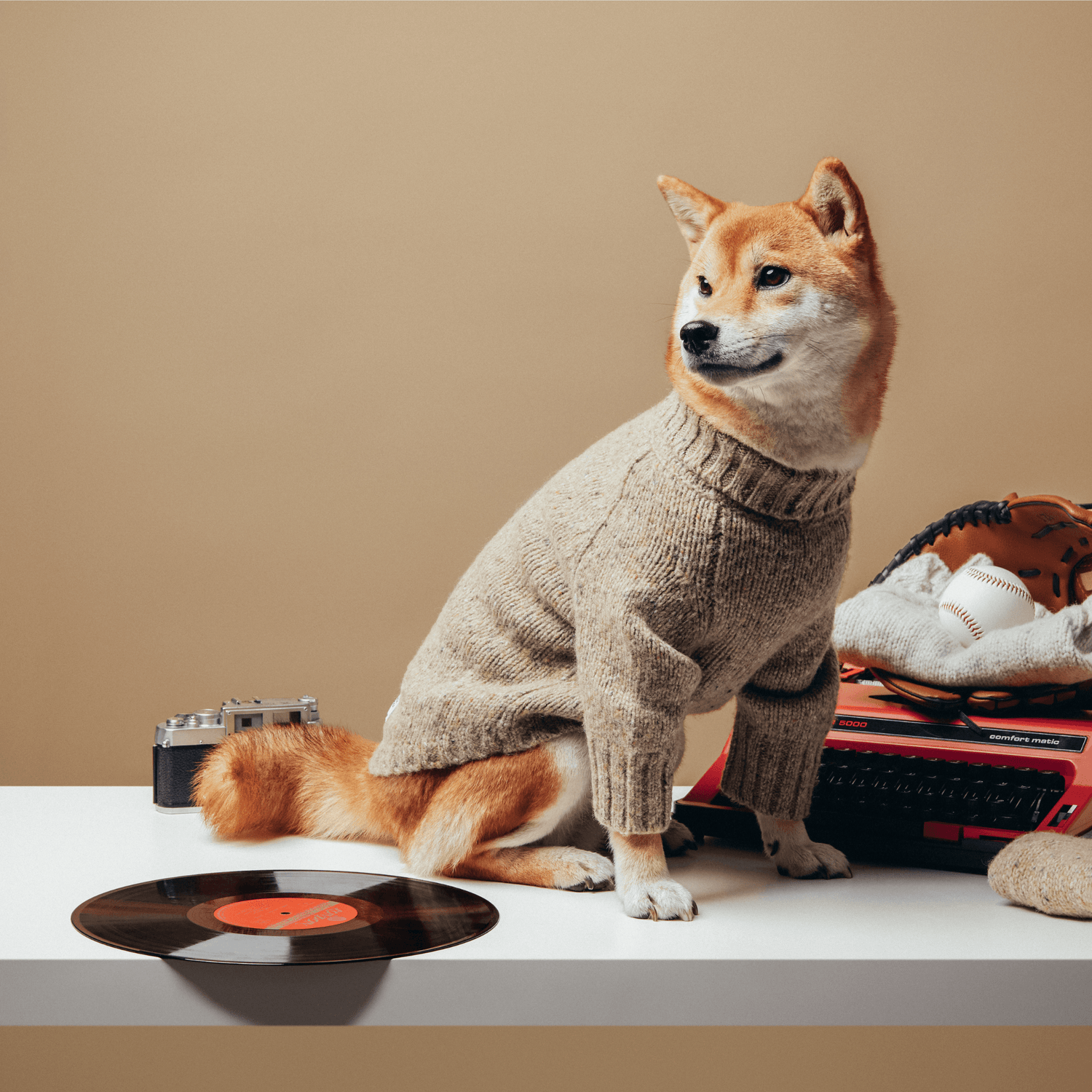 GENTLE DOG