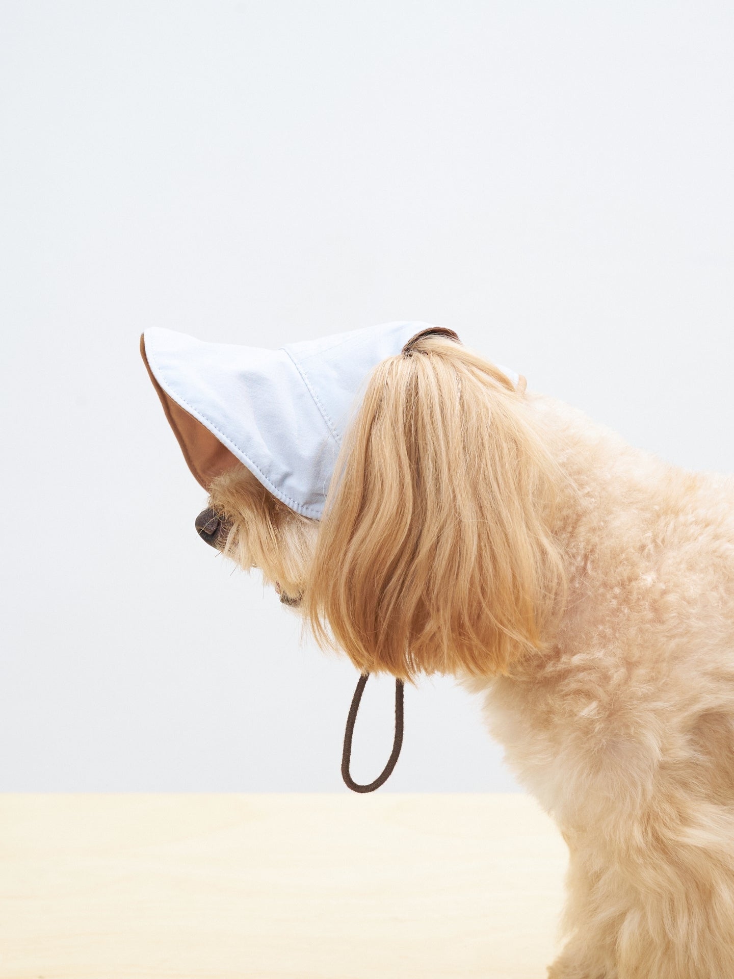 SUMMER ACCESSORIES