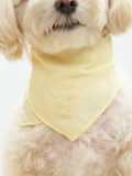 Colorful Daily  “Little Thoughts from Dogs & Cats” Bandana