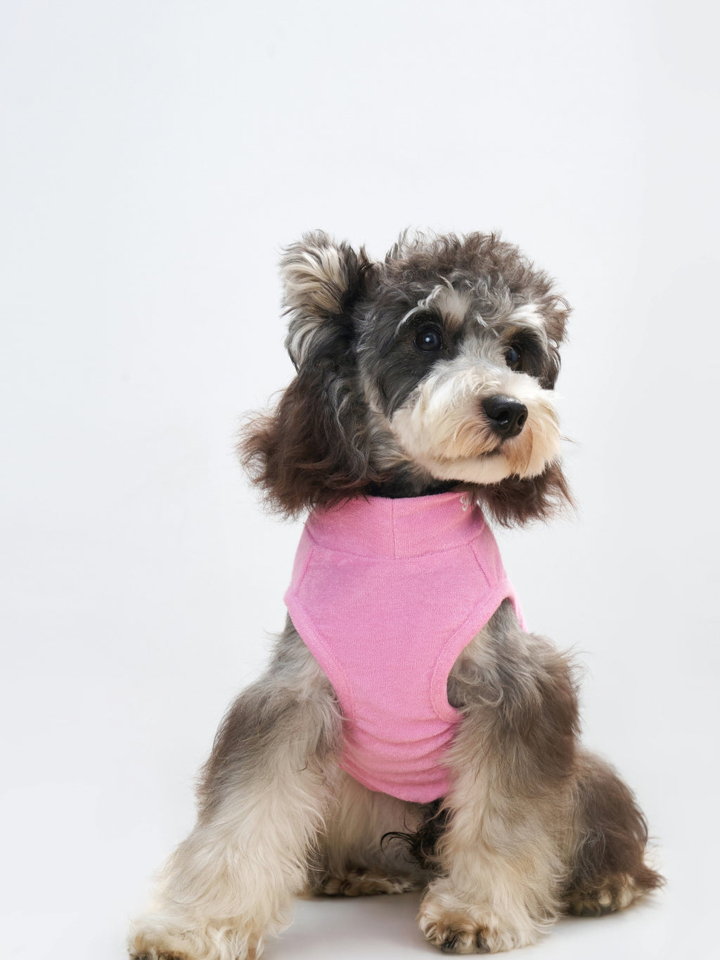 Colorful Daily Soft Terry Tank
