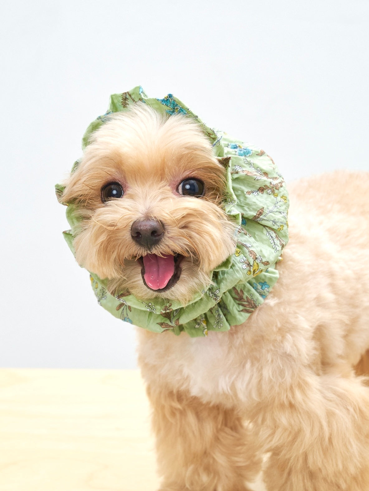 Colorful Daily  Nature's Verse Gentle Wave Snood