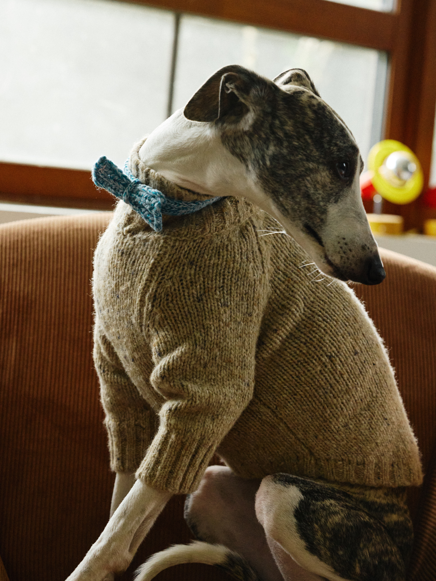 Gentle Dog Series Alpaca-Wool Tweed Pet Sweater