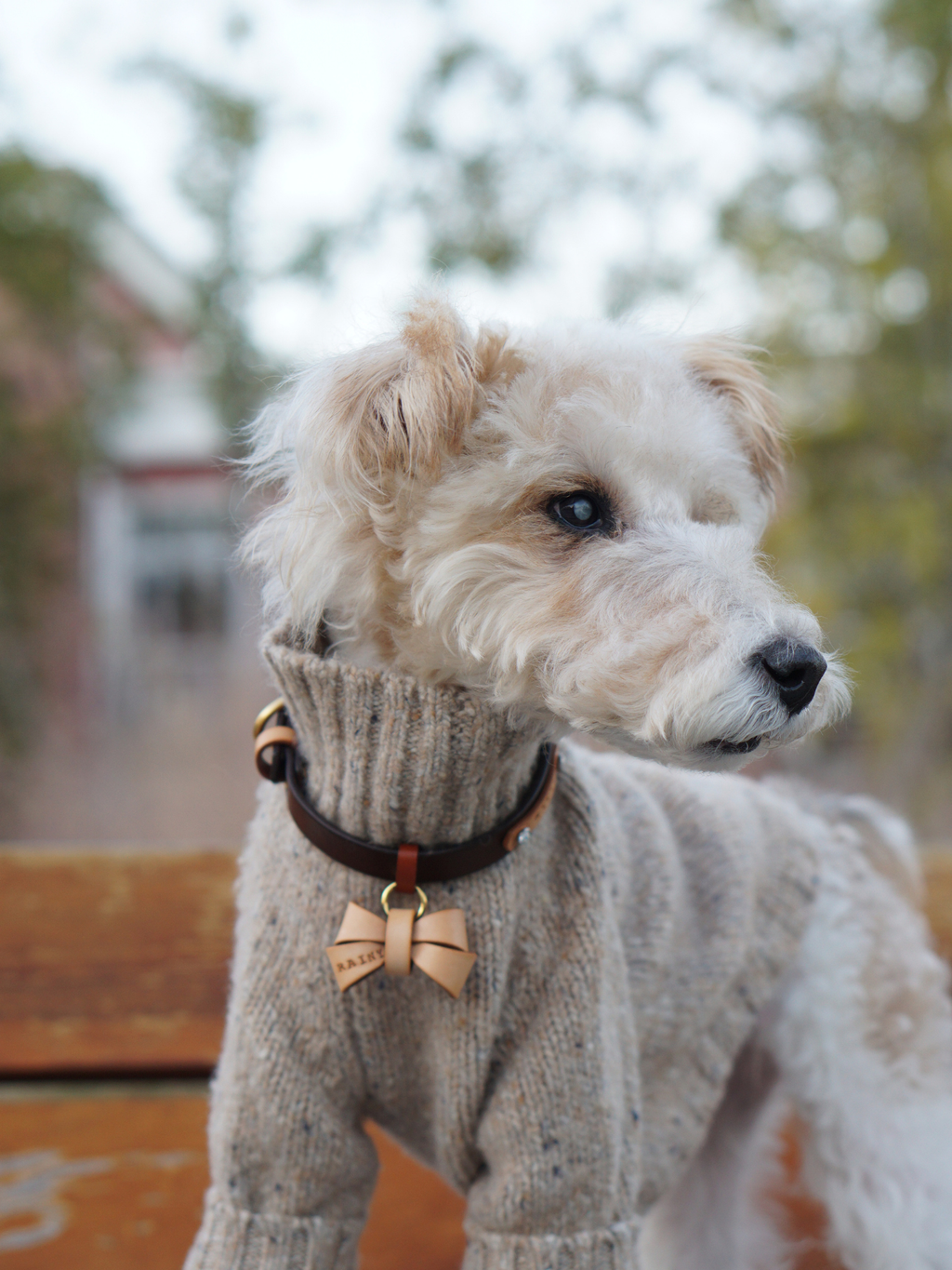 Gentle Dog Series Alpaca-Wool Tweed Pet Sweater
