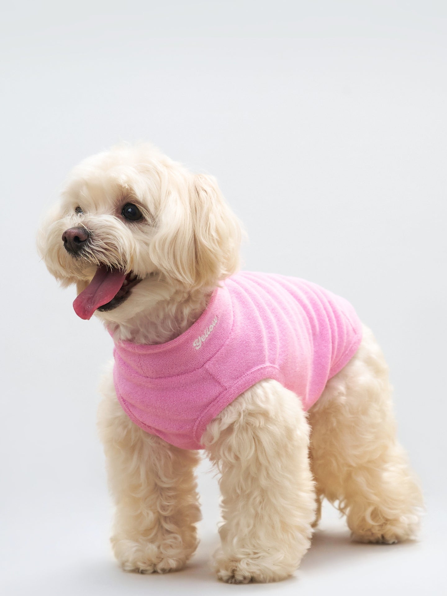 Colorful Daily Soft Terry Tank
