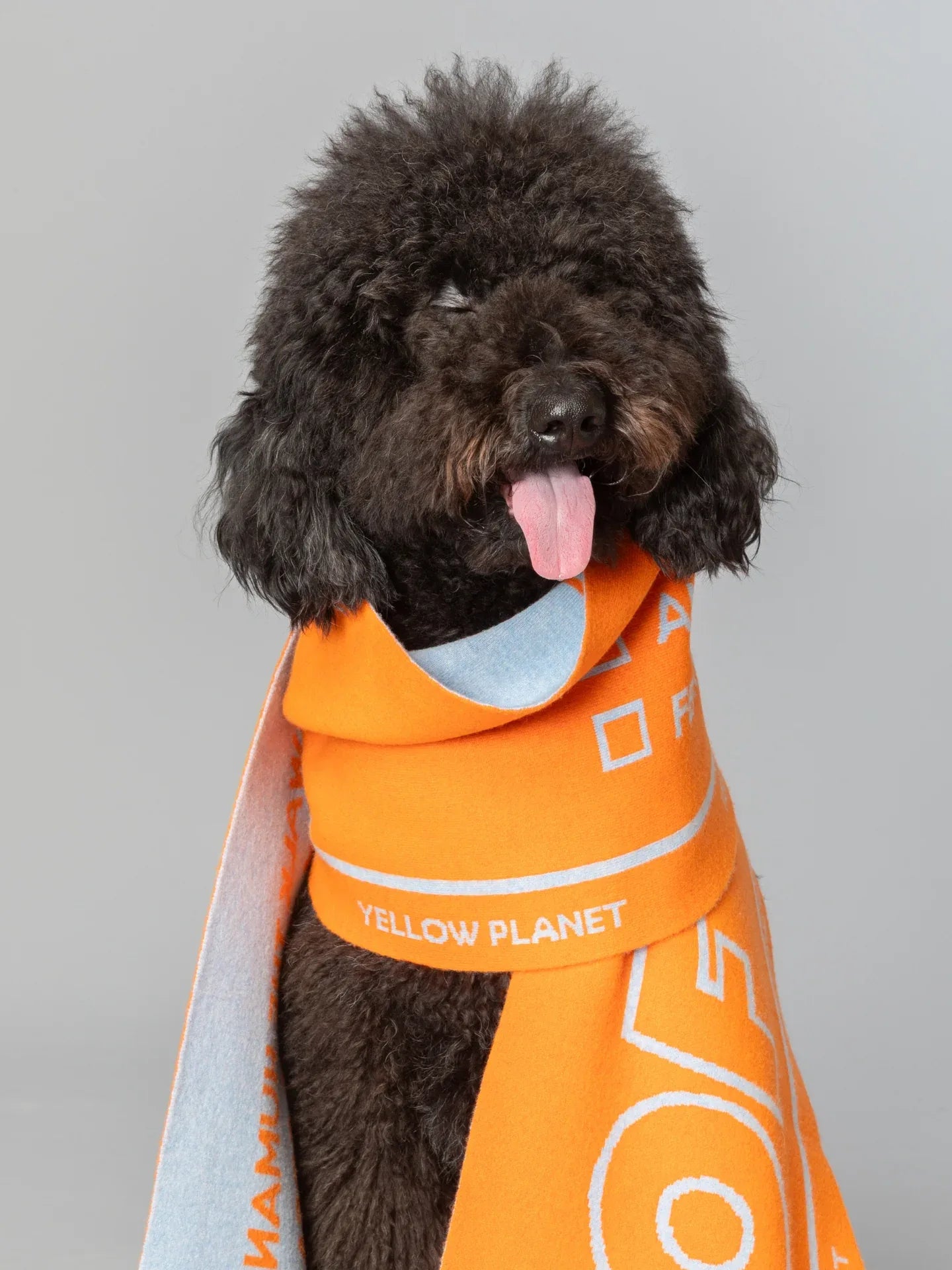 DOG-Sophy Series "WOOF" Theme Wool Reversible Two-Tone Scarf for Human - Yellow Planet