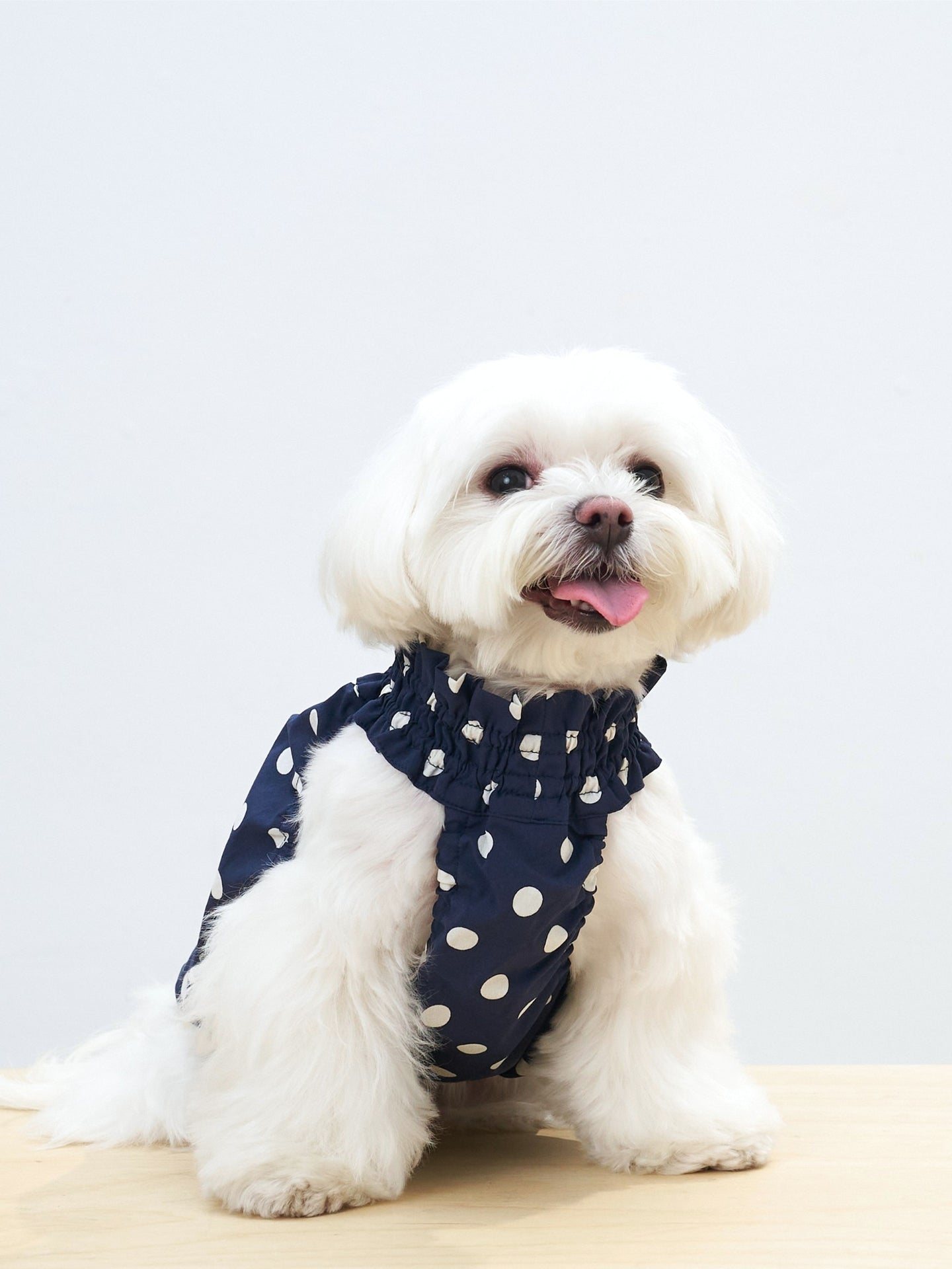 Oasisドット柄 UVカット冷感タンクトップ