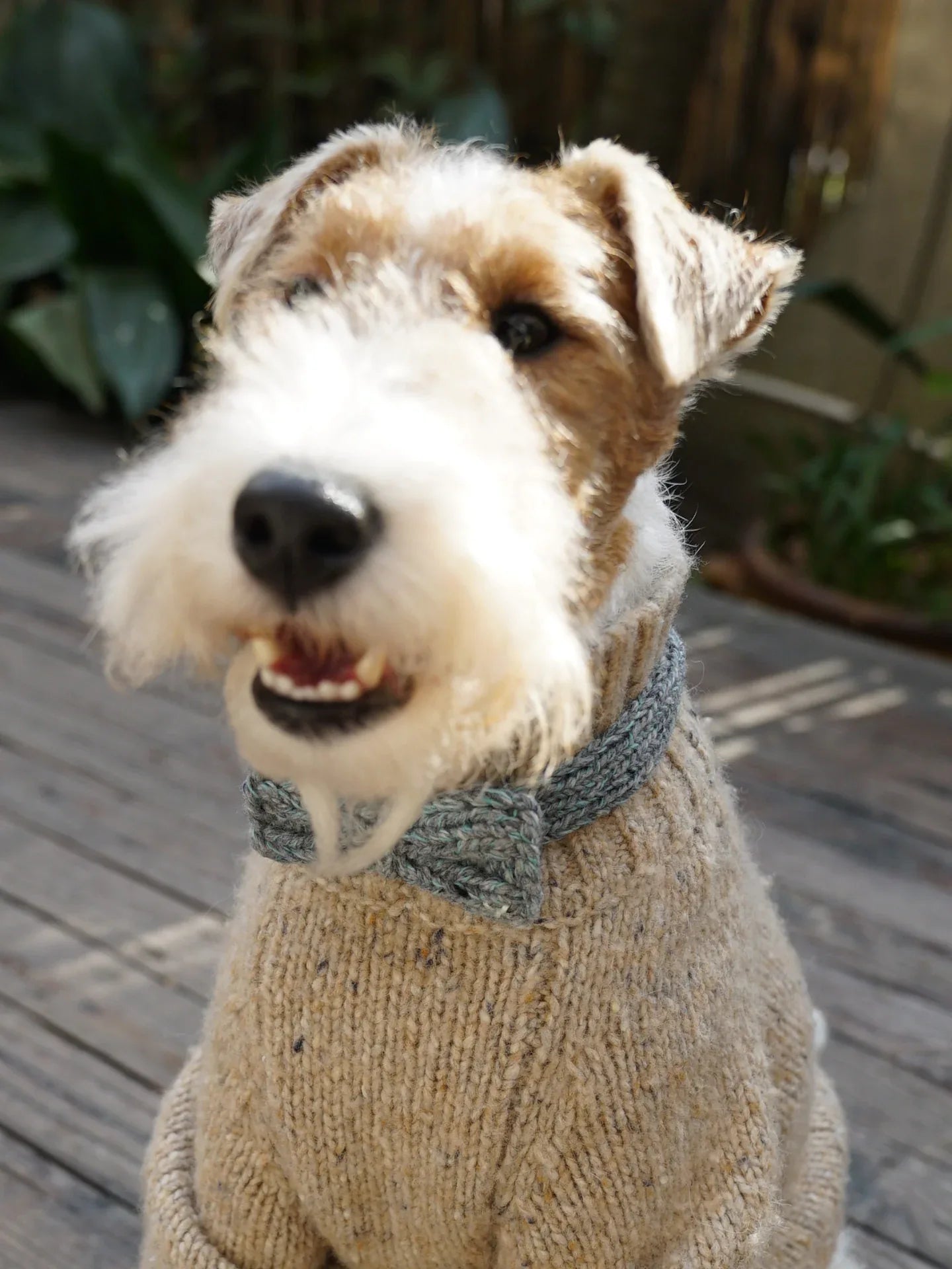 Funky Gentle Dog Series | Hand-Knitted Bow Tie in Alpaca & Wool Blend - Yellow Planet
