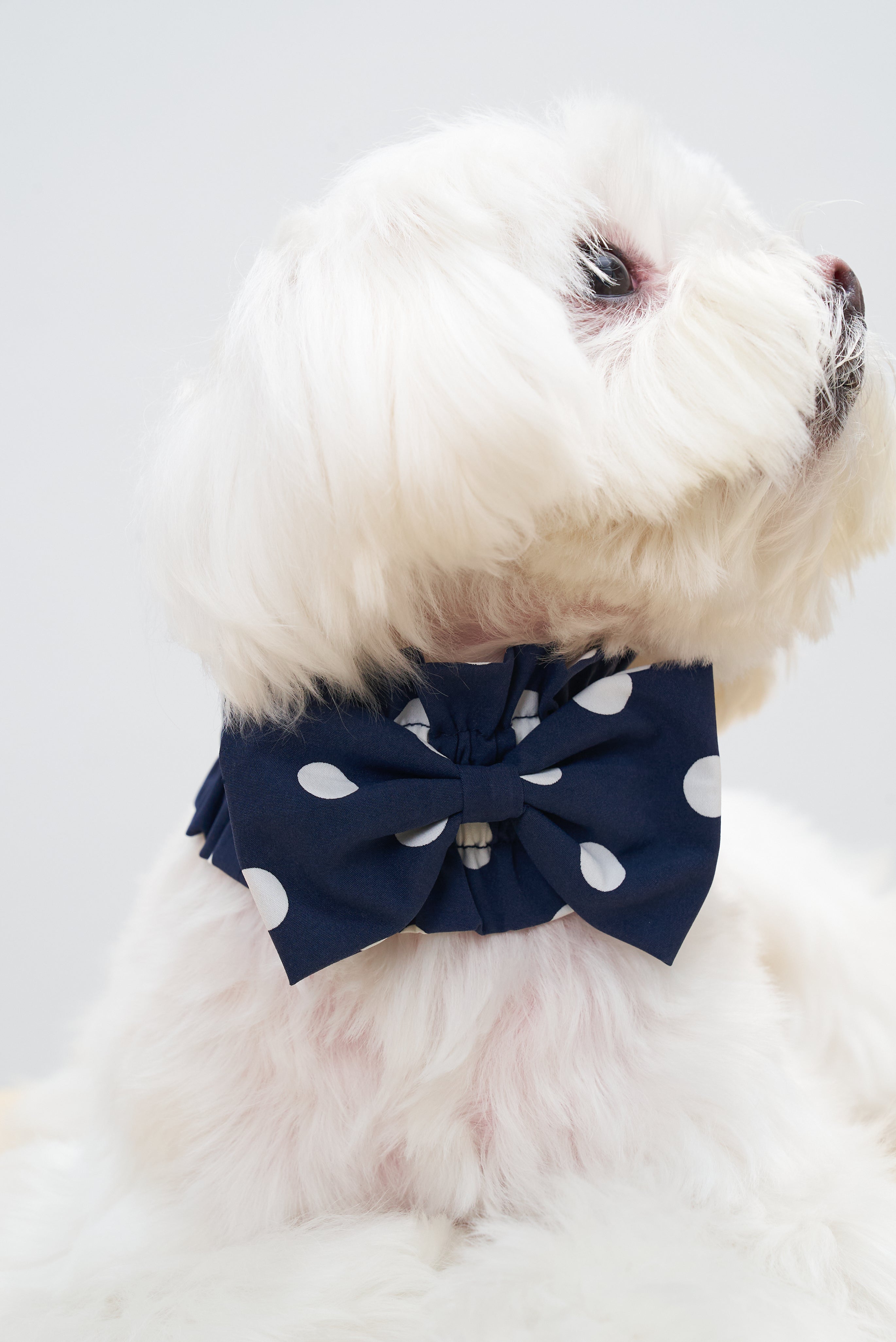 Oasis Polka Dot Bow Neckpiece