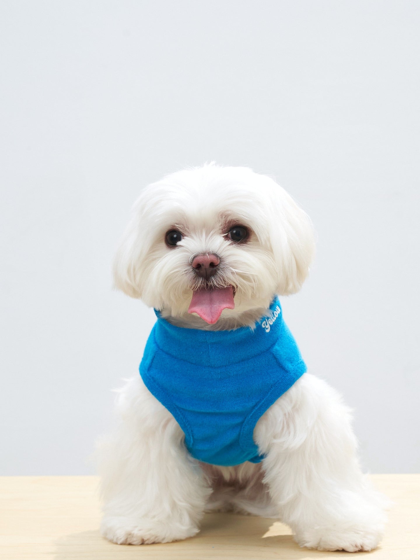 Colorful Daily Soft Terry Tank