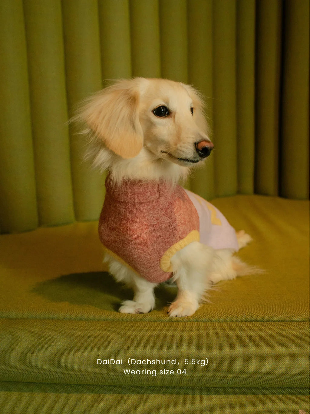 Cat-Sophy Series Alpaca Wool | Ultra-Light Cuddly Pet Knit Vest - Yellow Planet