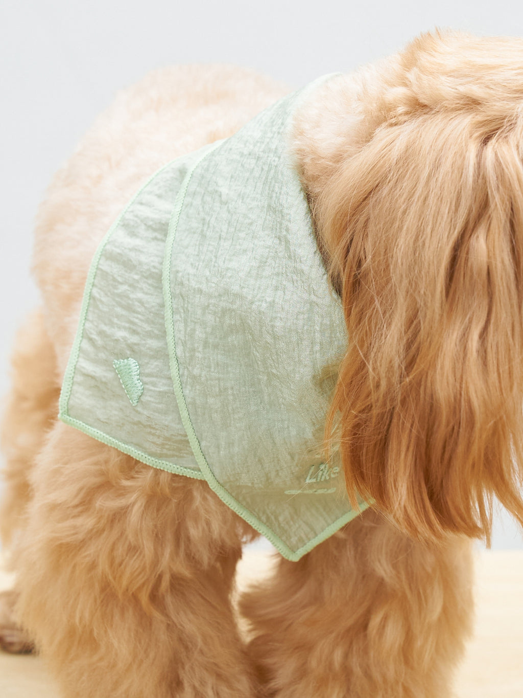 Colorful Daily  “Little Thoughts from Dogs & Cats” Bandana
