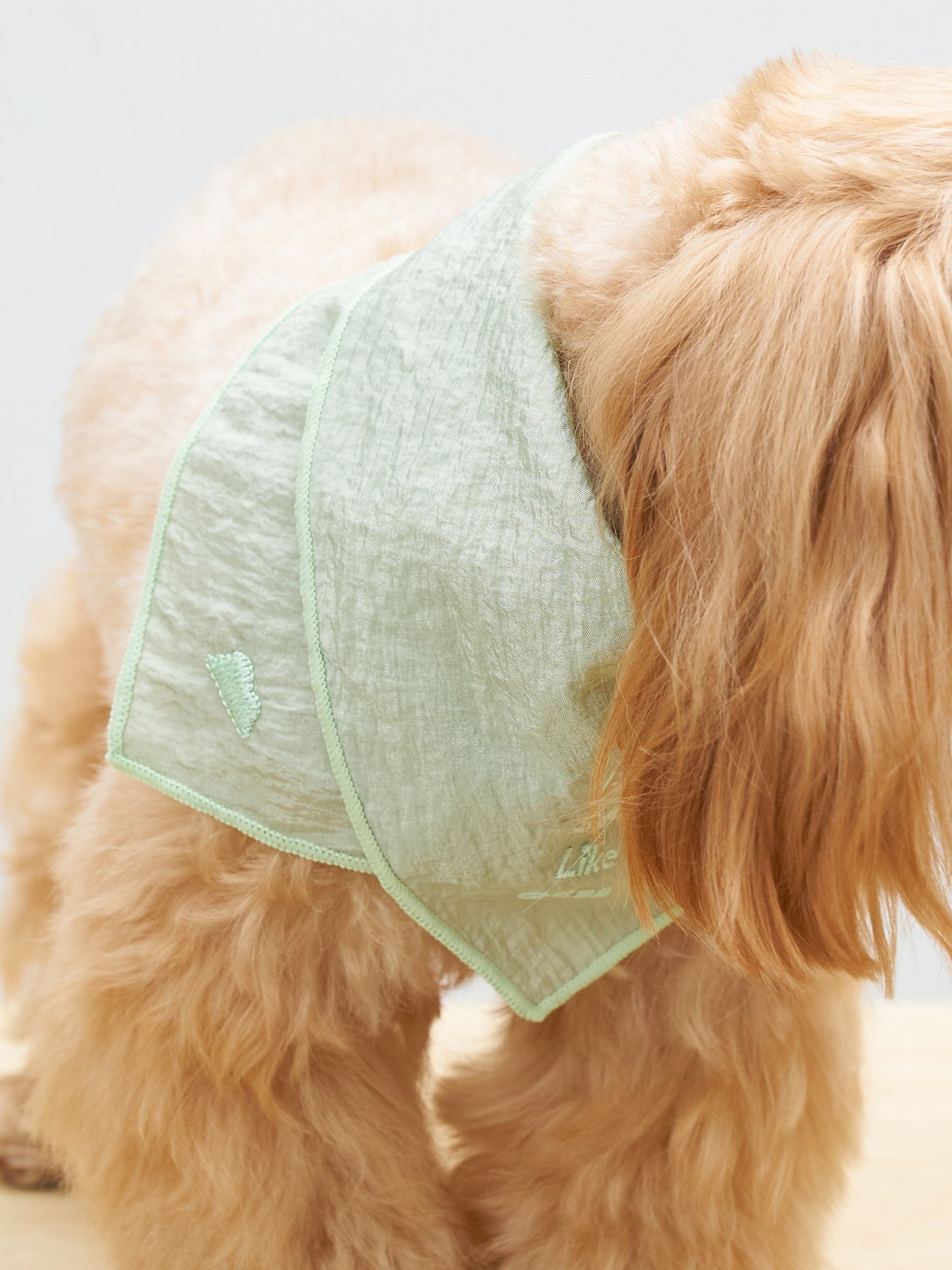 Colorful Daily  “Little Thoughts from Dogs & Cats” Bandana