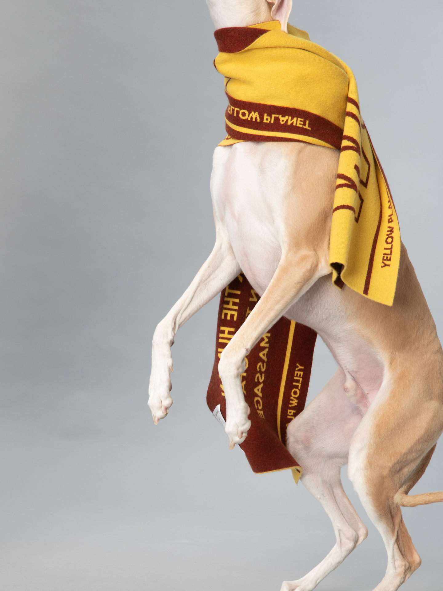 DOG-Sophy Series "WOOF" Theme Cashmere & Wool Reversible Two-Tone Scarf for Human