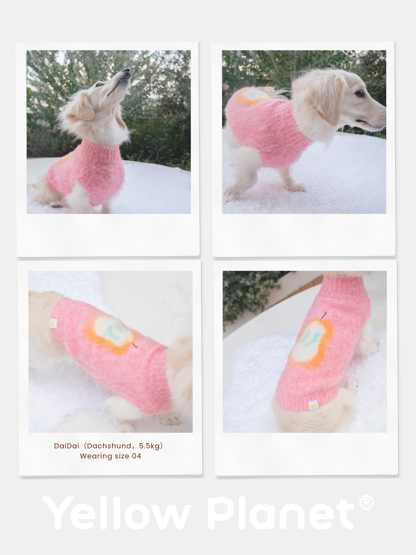 Yellow Market Series - Artist Collaboration Fruits Brushed Knit Vest [Pet Edition]