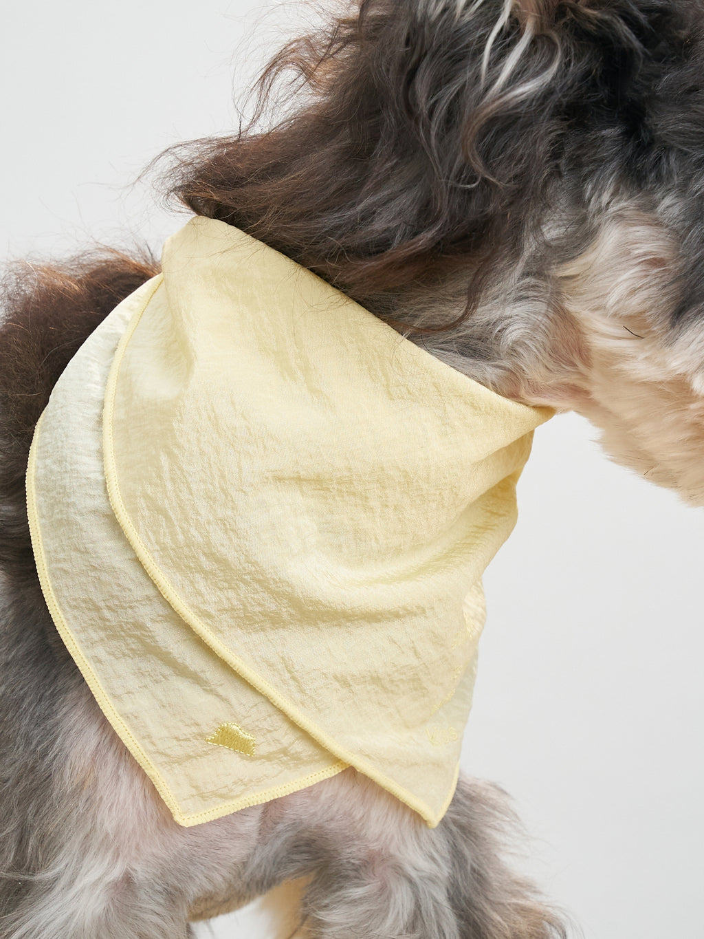 Colorful Daily  “Little Thoughts from Dogs & Cats” Bandana