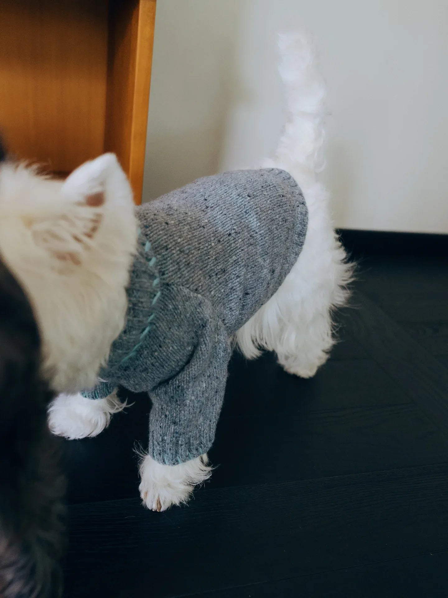 Funky Gentle Dog Series Alpaca-Wool Blend Pet Sweater - Yellow Planet