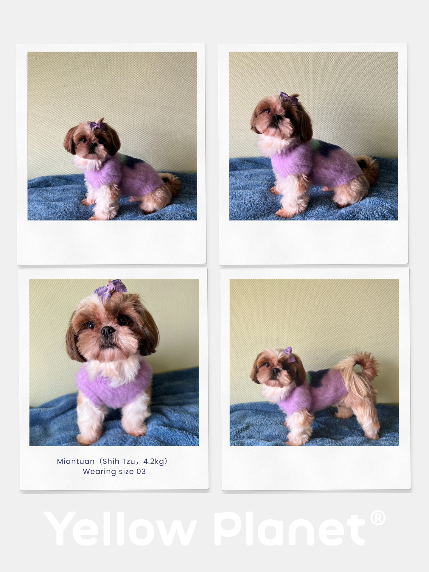 Yellow Market Series - Artist Collaboration Fruits Brushed Knit Vest [Pet Edition]