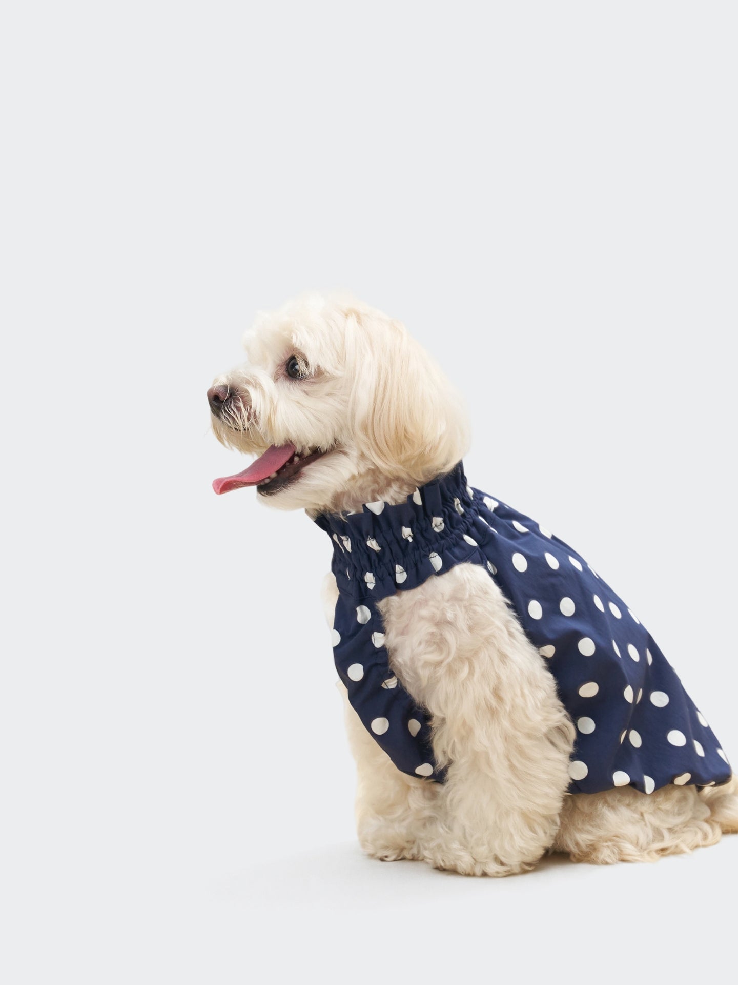 Oasis Polka Dot UV / Cooling Pet Tank