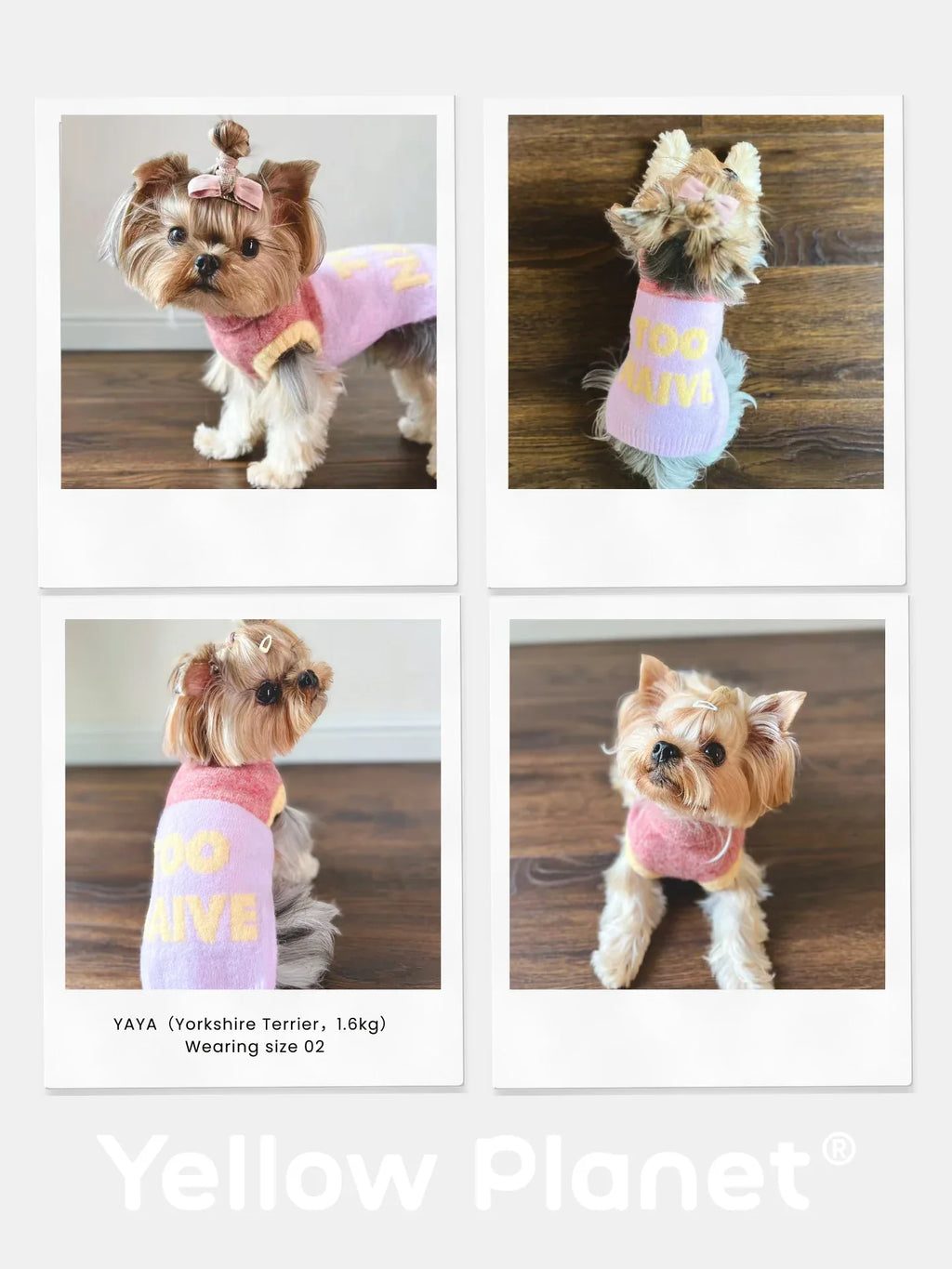 Cat-Sophy Series Alpaca Wool | Ultra-Light Cuddly Pet Knit Vest - Yellow Planet