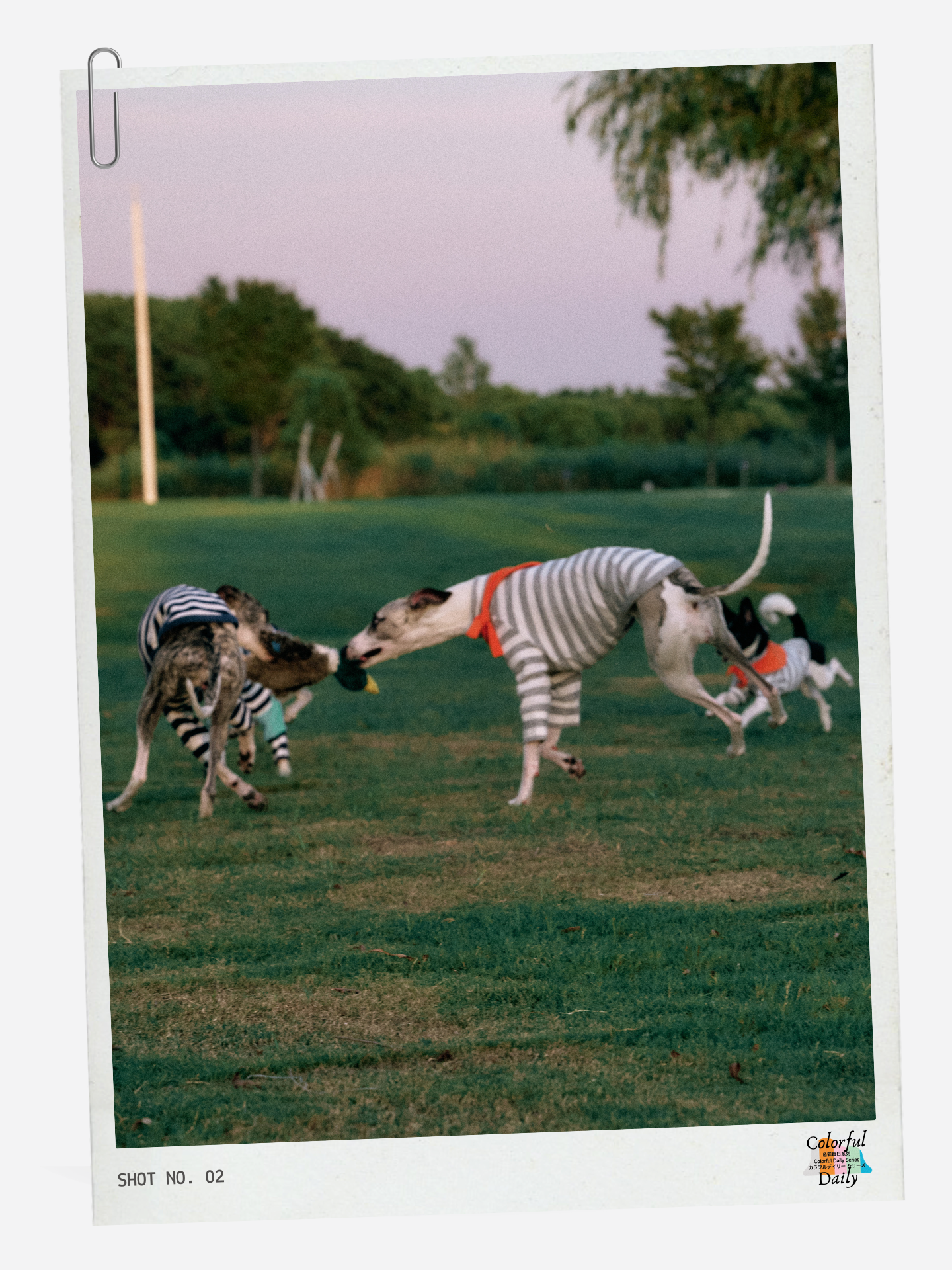 Colorful Daily Series Yarn-dyed Pet Stripe Outfit (Includes Matching Bandana)