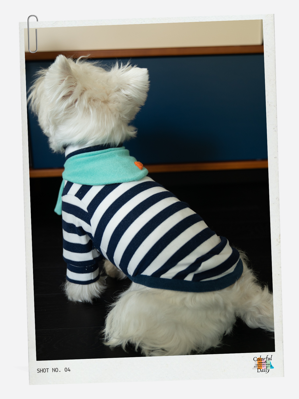 Colorful Daily Series Yarn-dyed Pet Stripe Outfit (Includes Matching Bandana)
