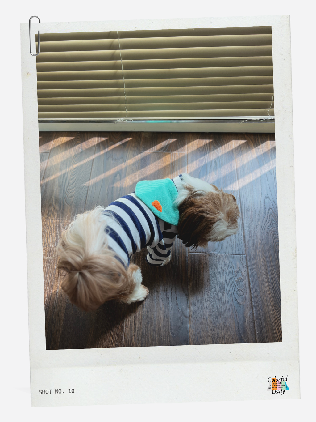 Colorful Daily Series Yarn-dyed Pet Stripe Outfit (Includes Matching Bandana)