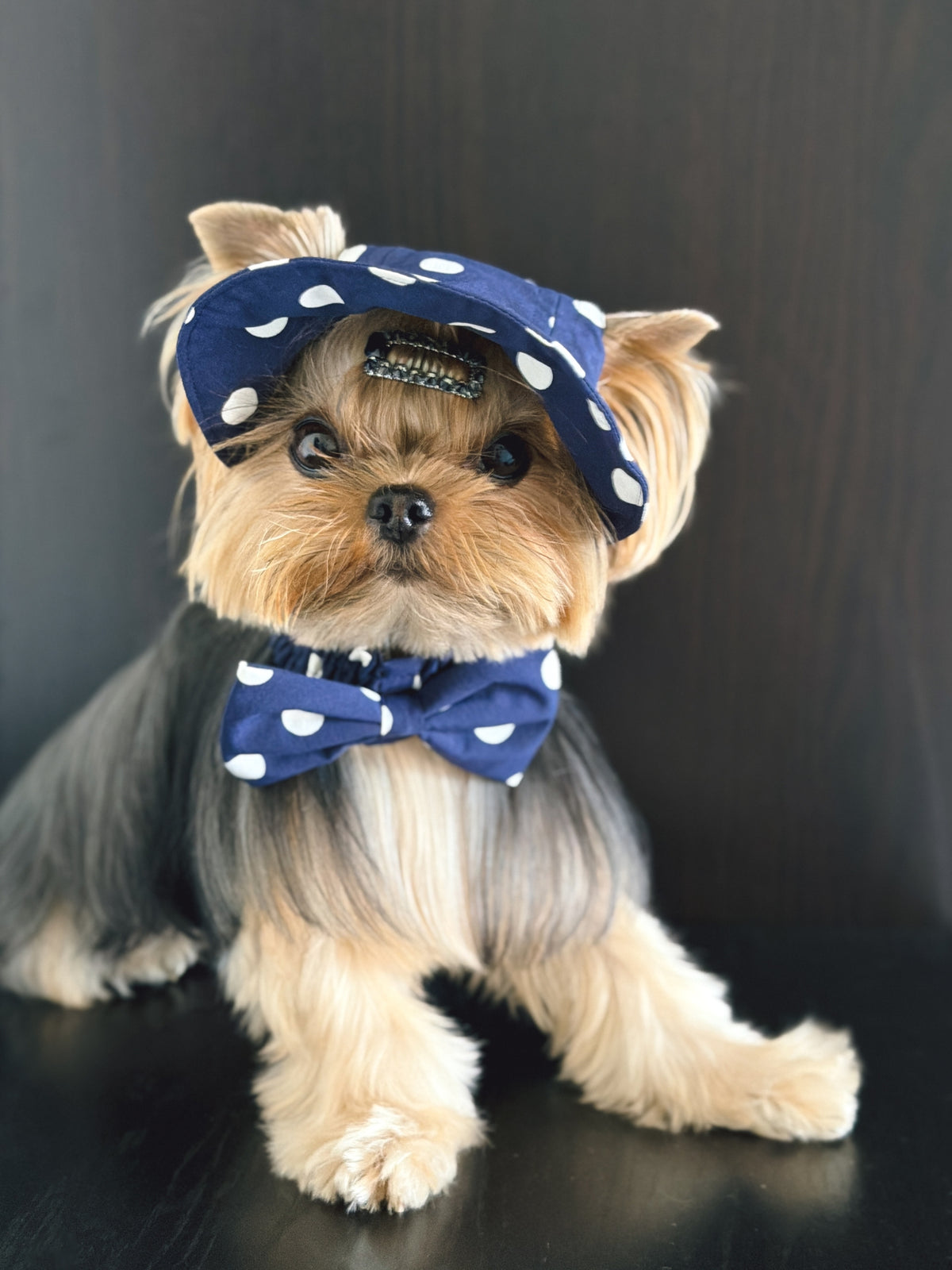 Oasis Polka Dot UV Protection Cap（Adjustable Brim）