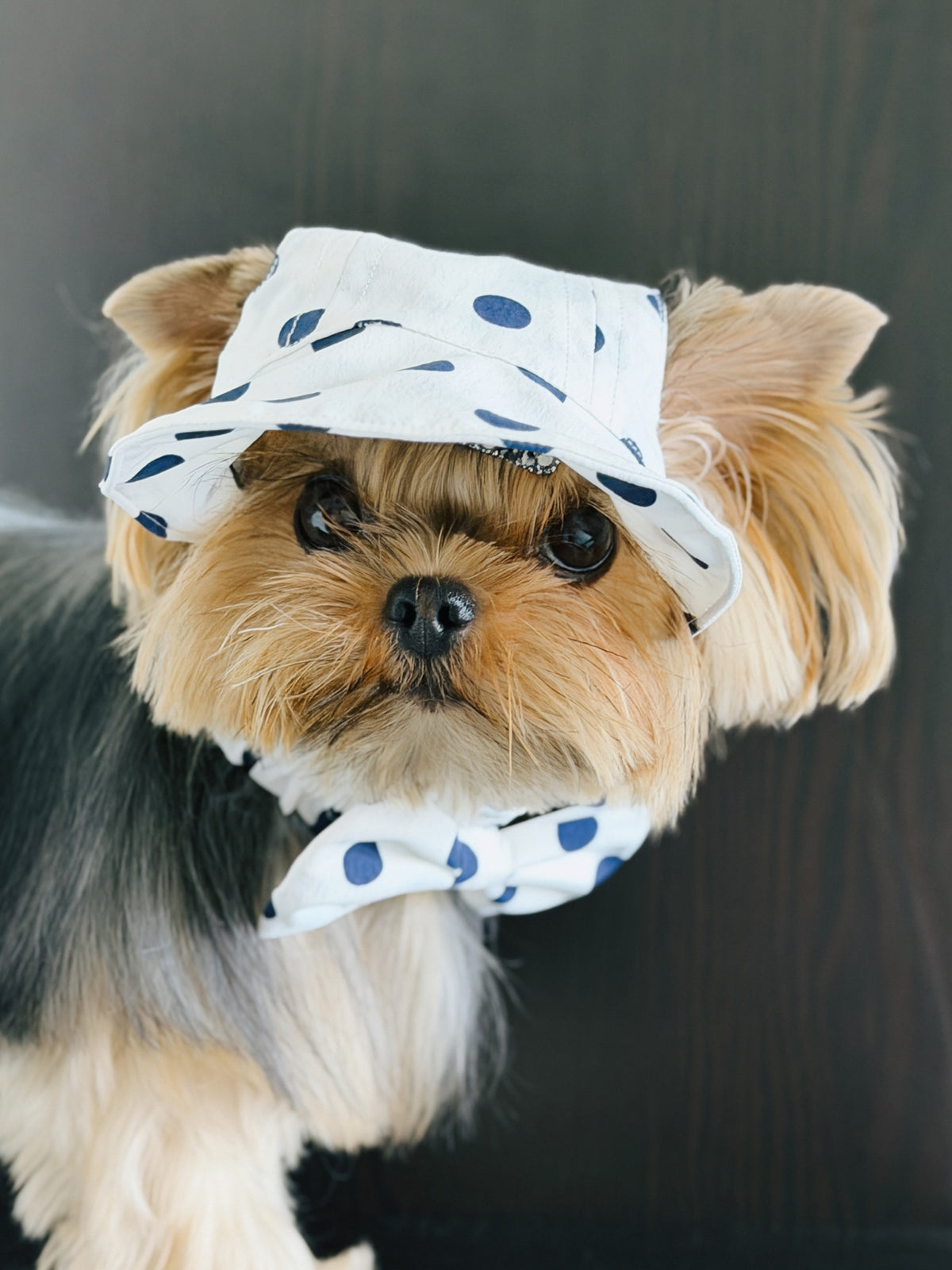 Oasis Polka Dot UV Protection Cap（Adjustable Brim）